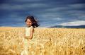 780 - FIELDS OF GOLD - BAHCHEVANOVA SLAVINA - bulgaria
